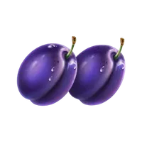 Pruim